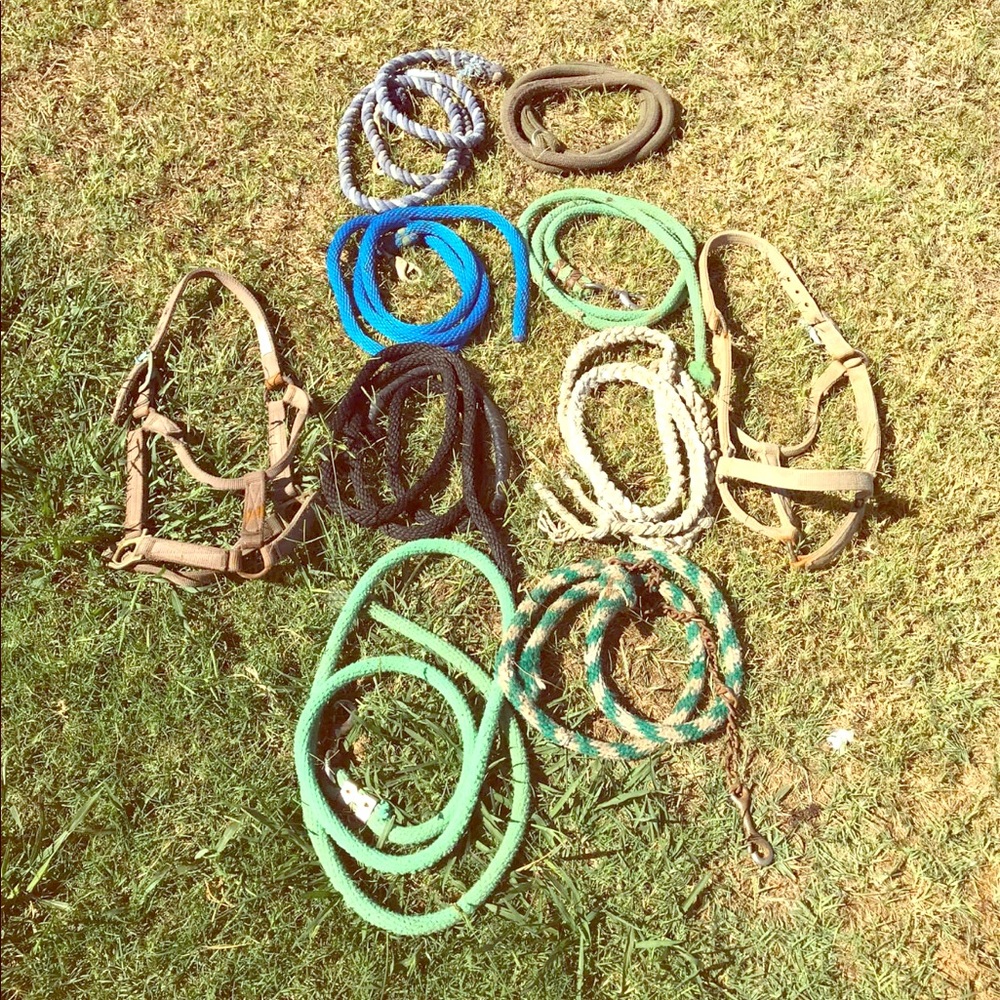 Halter & Lead Rope Lot